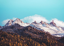 星空体育-NBA-梅尔顿22分格林10助攻 勇士不敌爵士