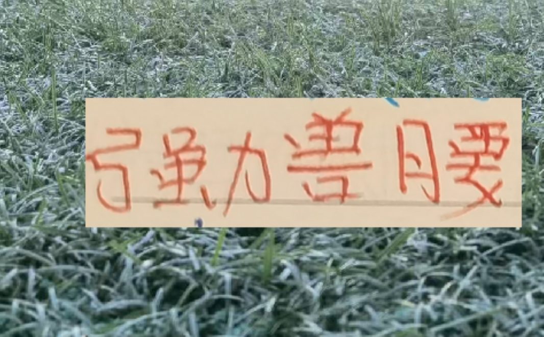 星空体育app-中超前4的后腰 反而申花是国产的兽腰 其他球队都是洋货